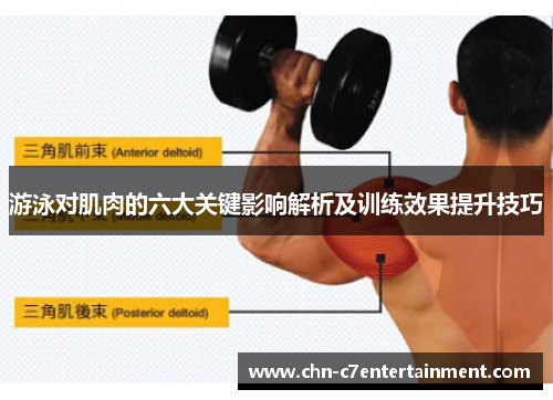 游泳对肌肉的六大关键影响解析及训练效果提升技巧