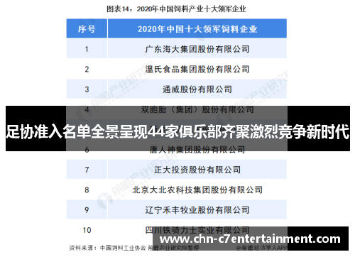 足协准入名单全景呈现44家俱乐部齐聚激烈竞争新时代