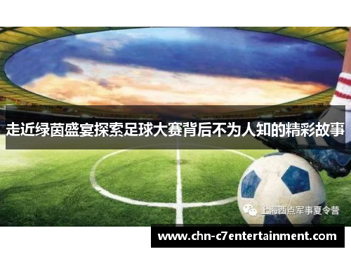 走近绿茵盛宴探索足球大赛背后不为人知的精彩故事