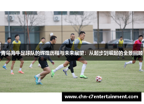 青岛海牛足球队的辉煌历程与未来展望：从起步到崛起的全景回顾
