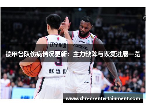 德甲各队伤病情况更新：主力缺阵与恢复进展一览