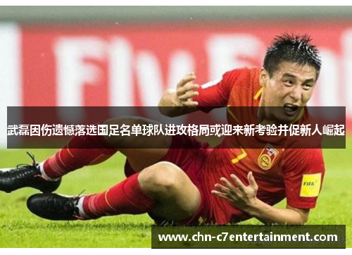 武磊因伤遗憾落选国足名单球队进攻格局或迎来新考验并促新人崛起